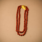 Brown Rudraksha Mala – 108 + 1 Beads